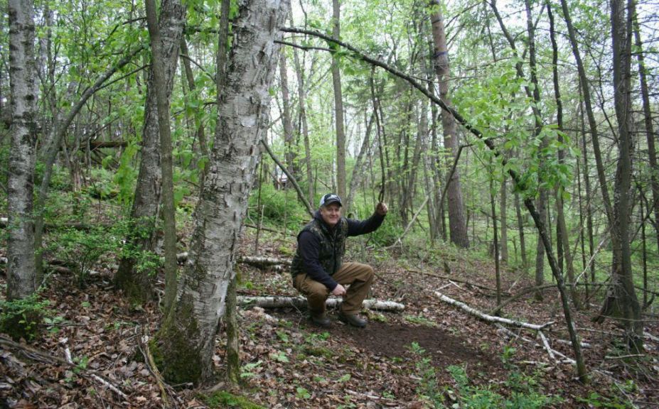 daytime buck travel