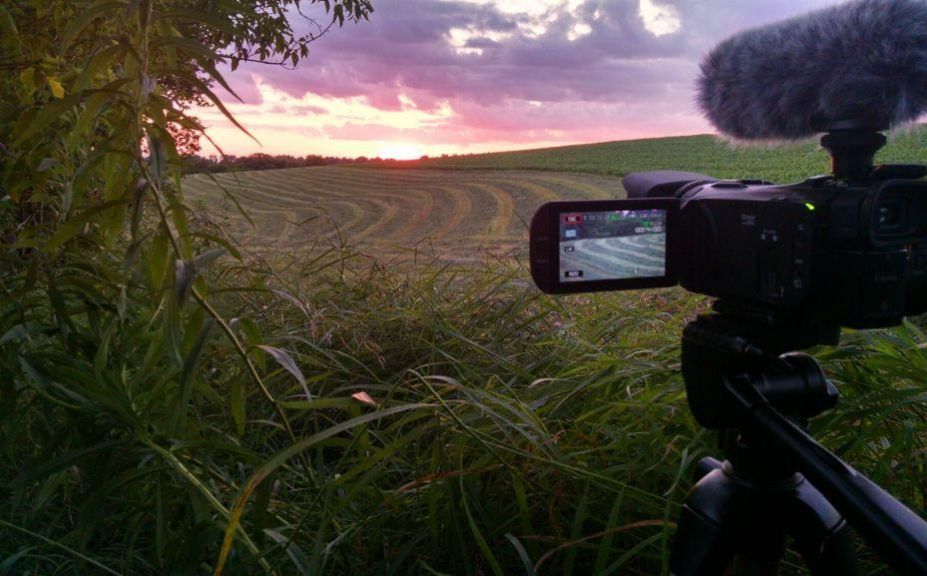 summer deer scouting