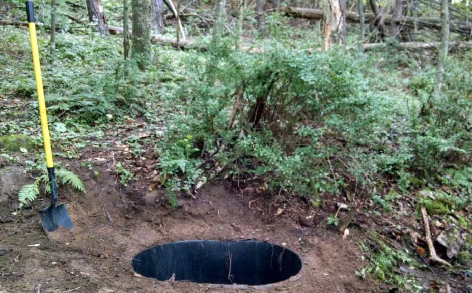 whitetail waterhole