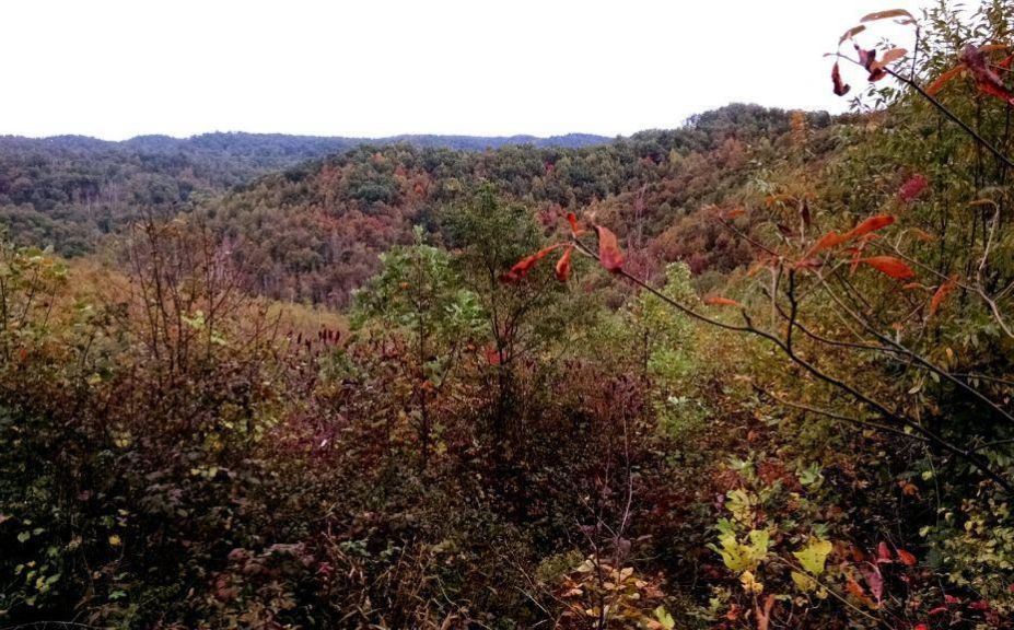 public land archery tactics