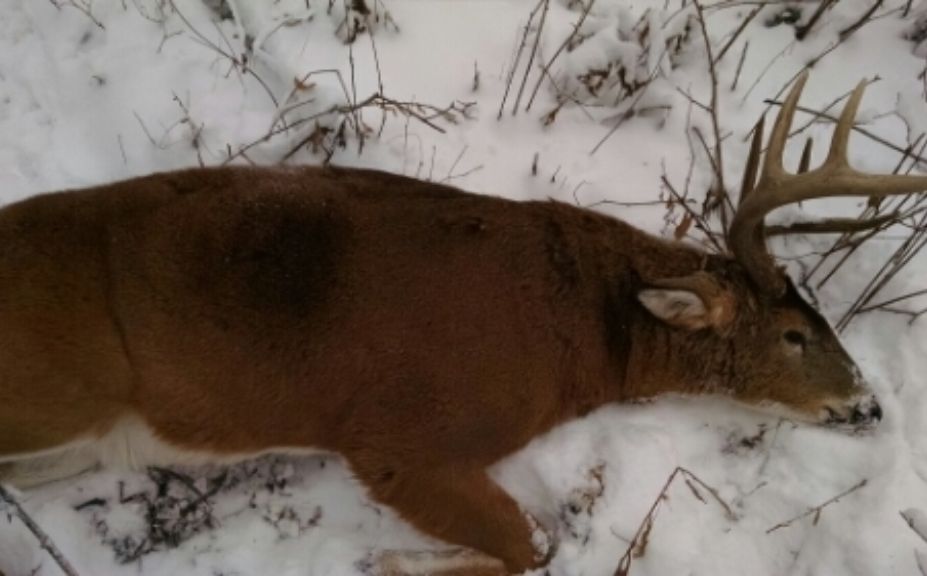 2014 WI gun season family success