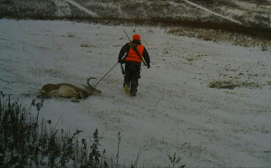 deer hunting pressure