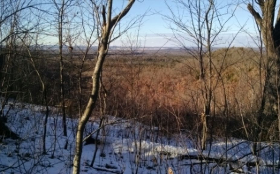 whitetail habitat management myths