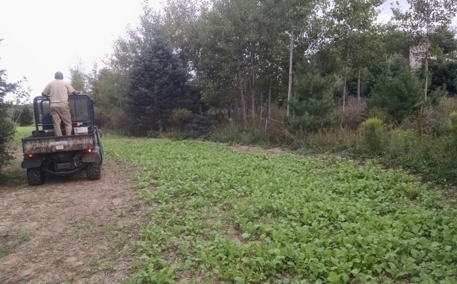 food plot direction