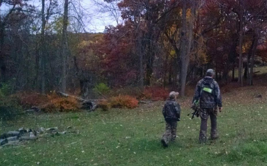 deer feeding time