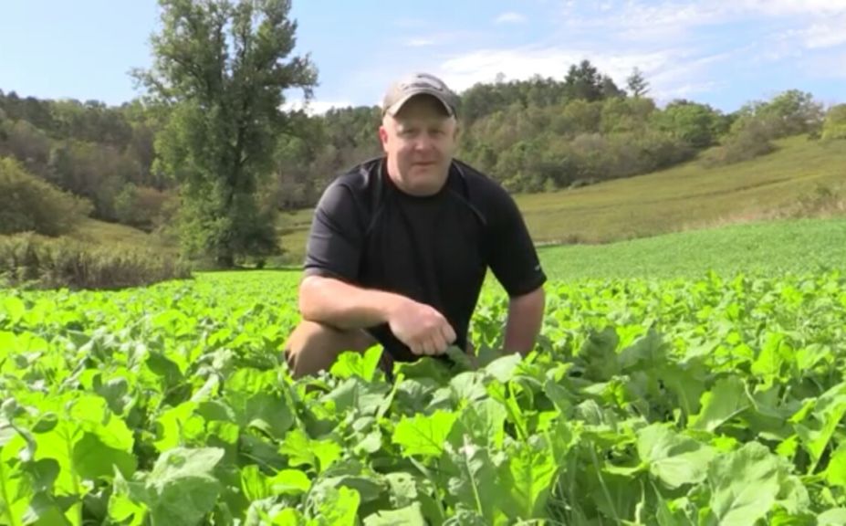 november food plot