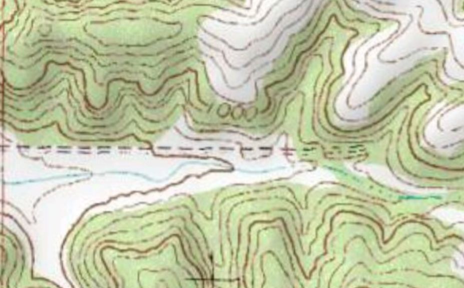 whitetail topography