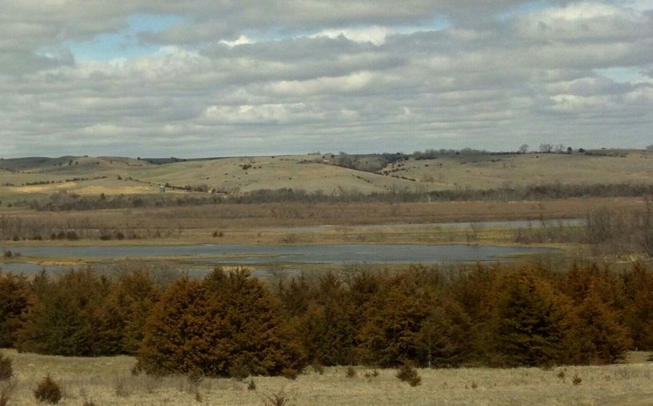 Red Cedar Deer Bedding 