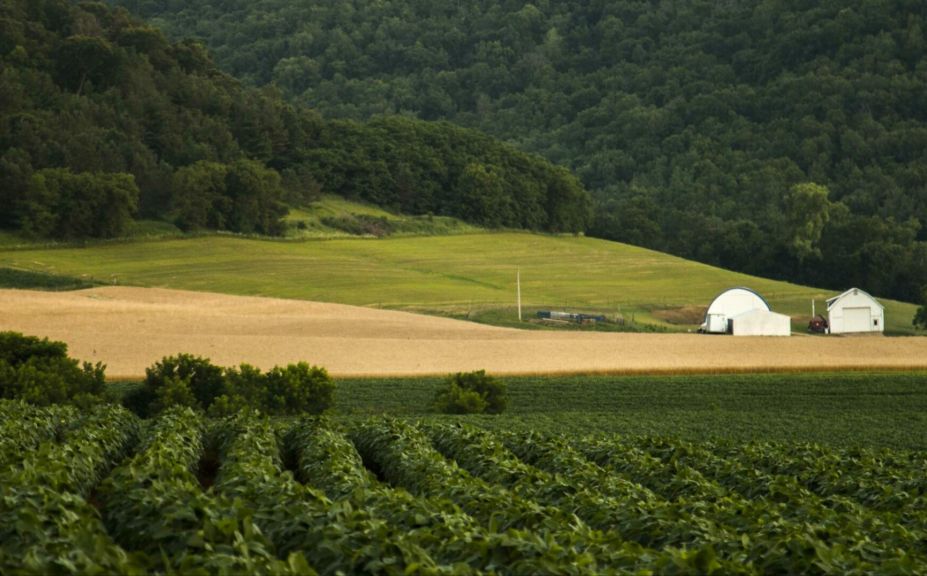 food plot rewards and failures