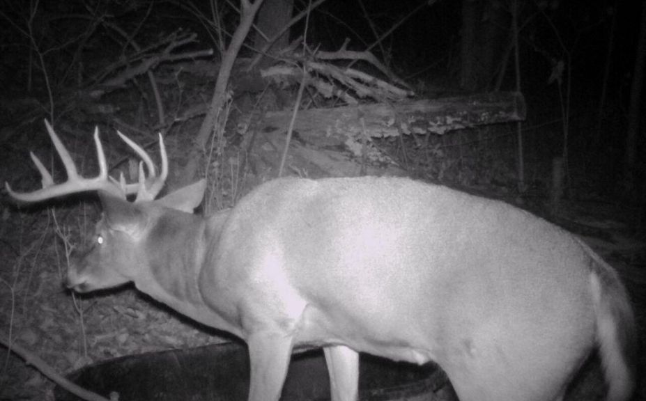 core mature buck hunting strategies