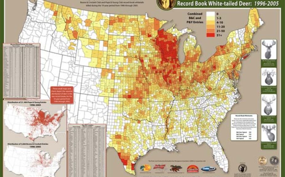 whitetail topography