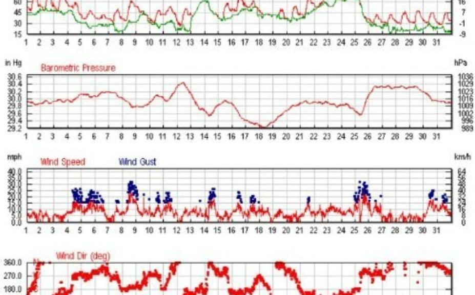 weekend rut timing