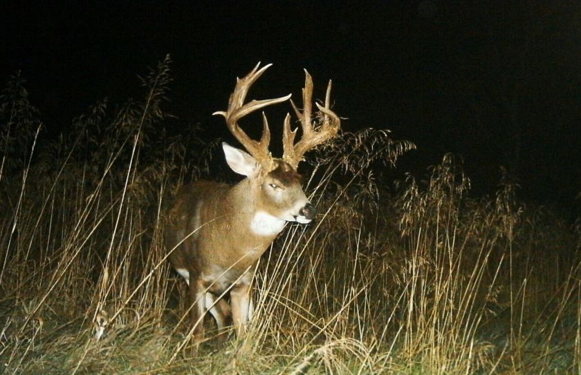 when to hunt monster buck