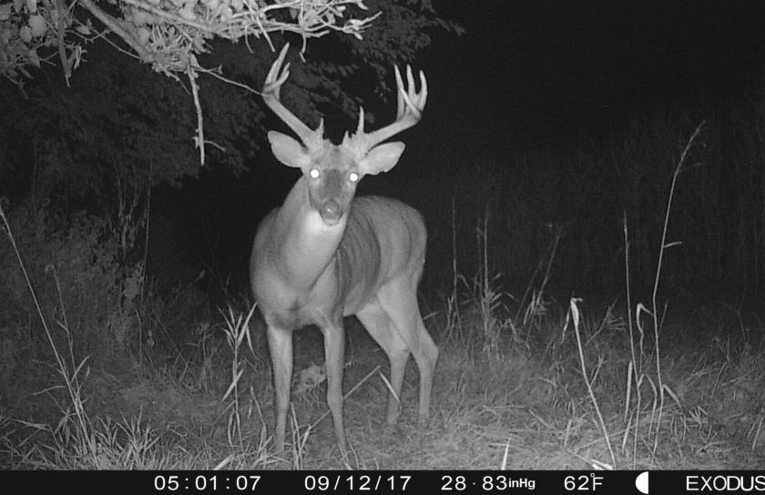 access trail cameras