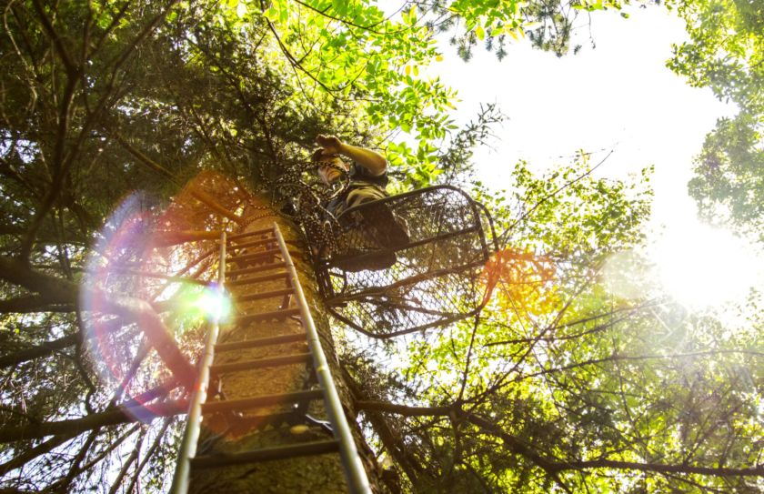 treestand shooting tips