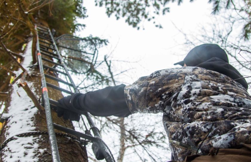 treestand tactics for whitetails