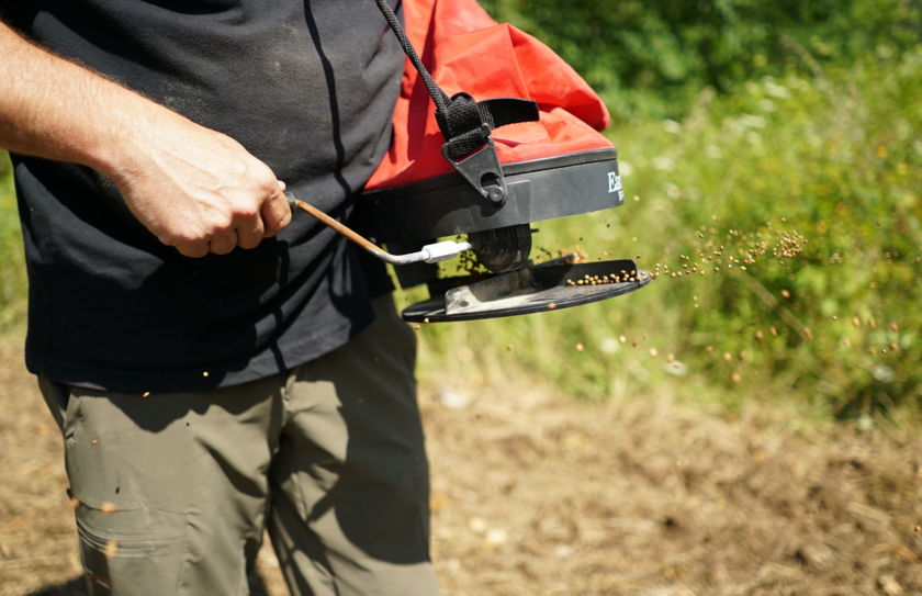 creating a food plot