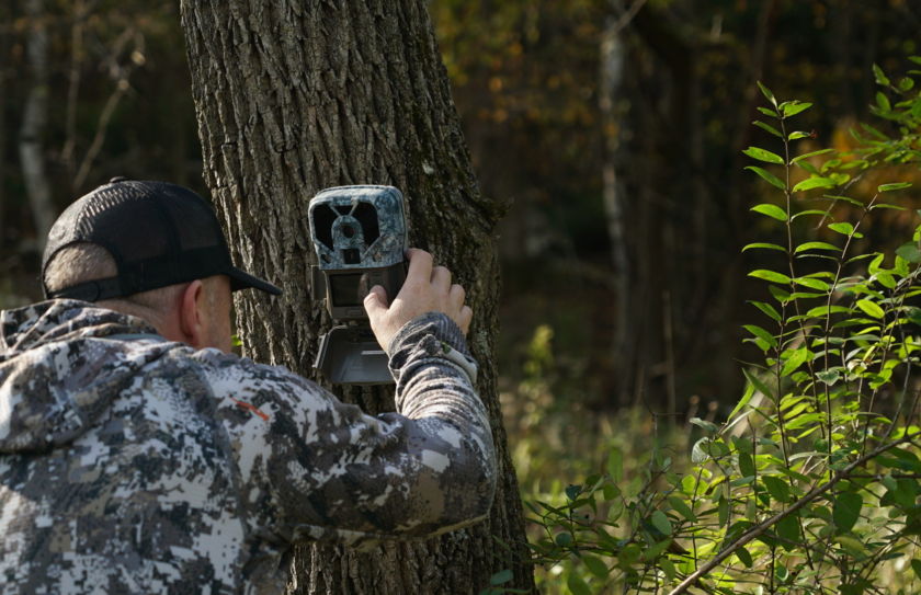 trail cam rut forecast