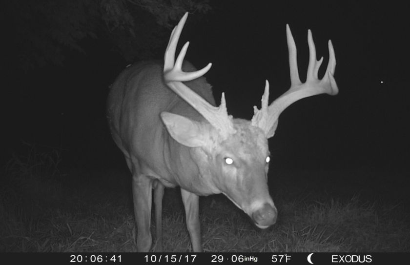 monster buck timing