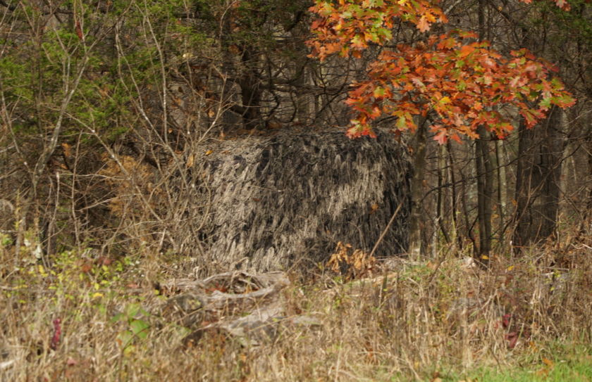 hide deer blind