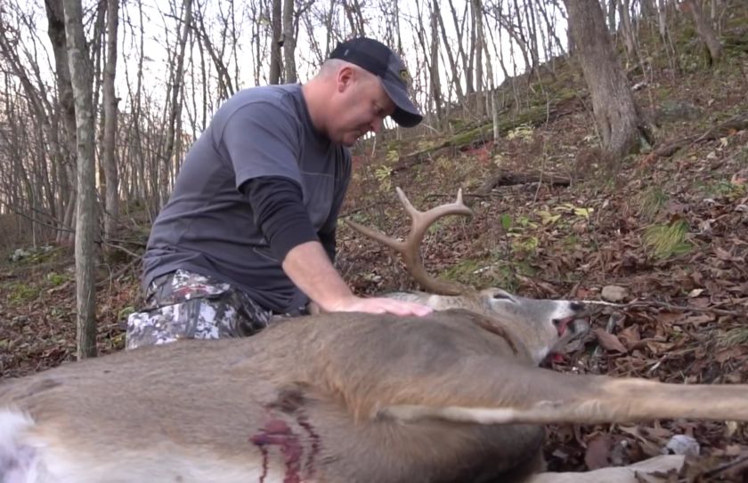 whitetail blood tracking