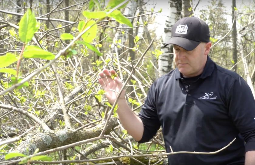 Browse Food Plots