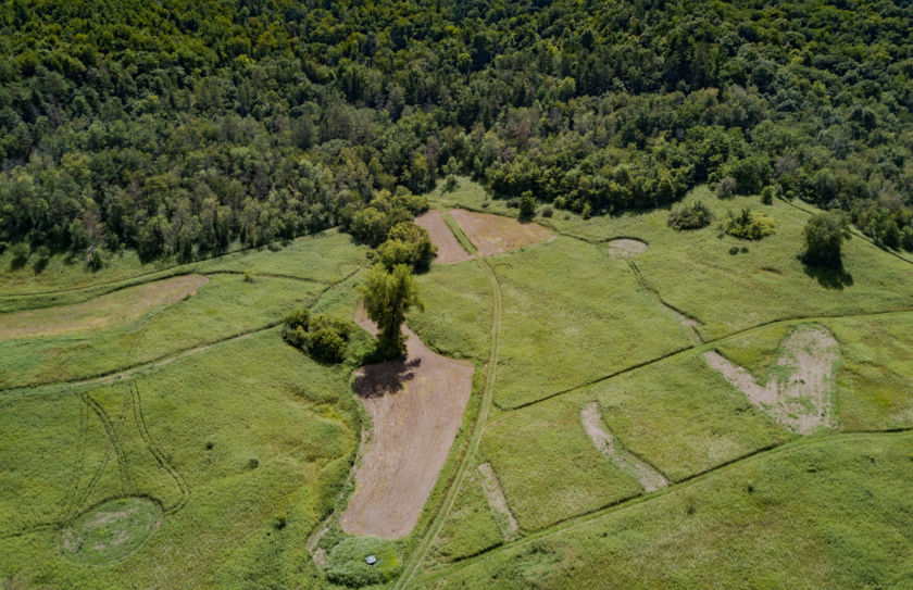 hidden food plots