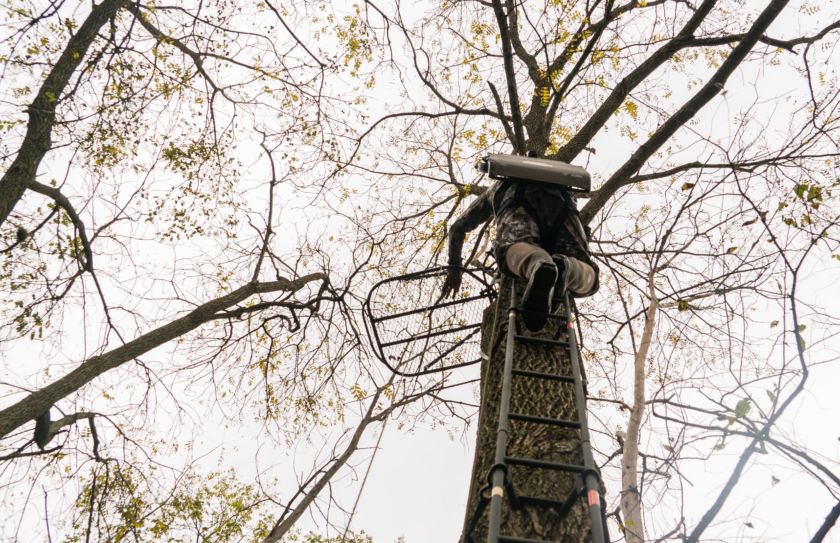 hide in a treestand