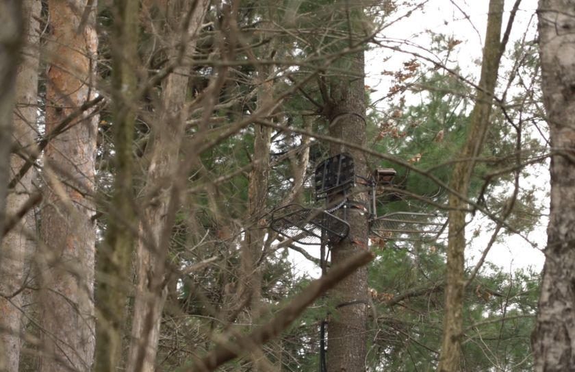 Favorite Treestand Setup