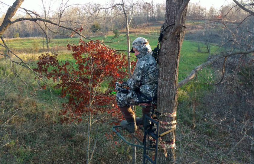 november food plot