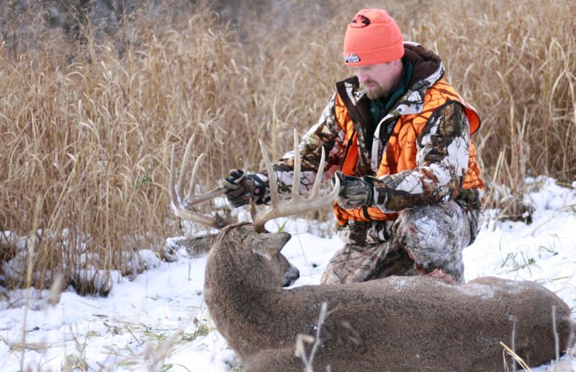 switchgrass plantings for deer