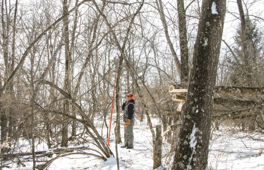 chainsaw bowhunting setups