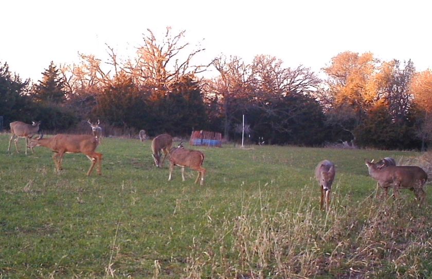 late season monster bucks