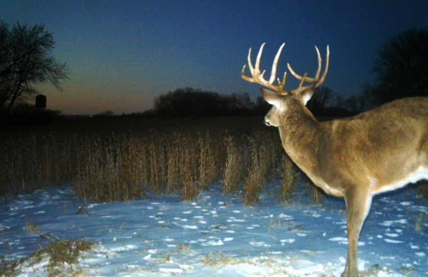 december buck hunting