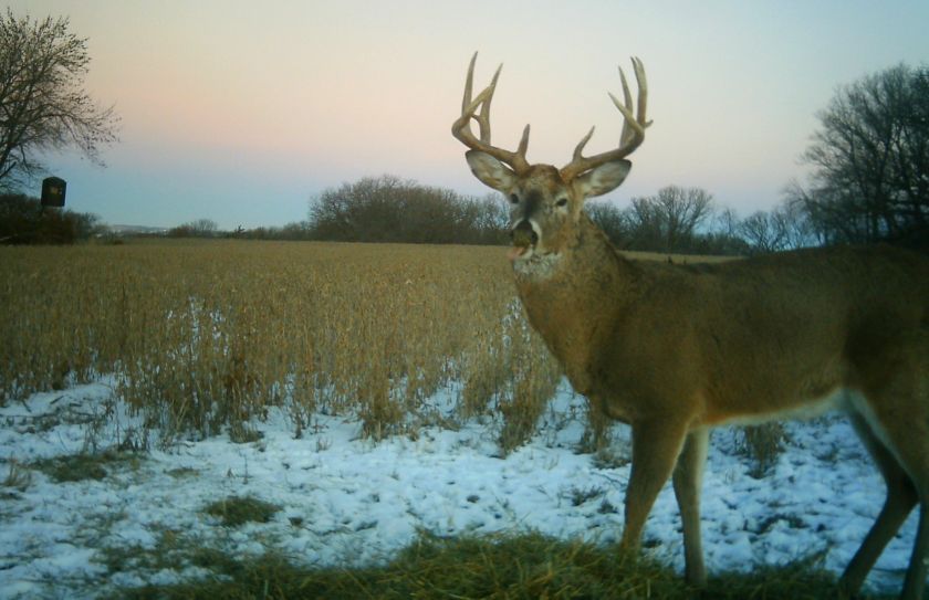 late season whitetail weather