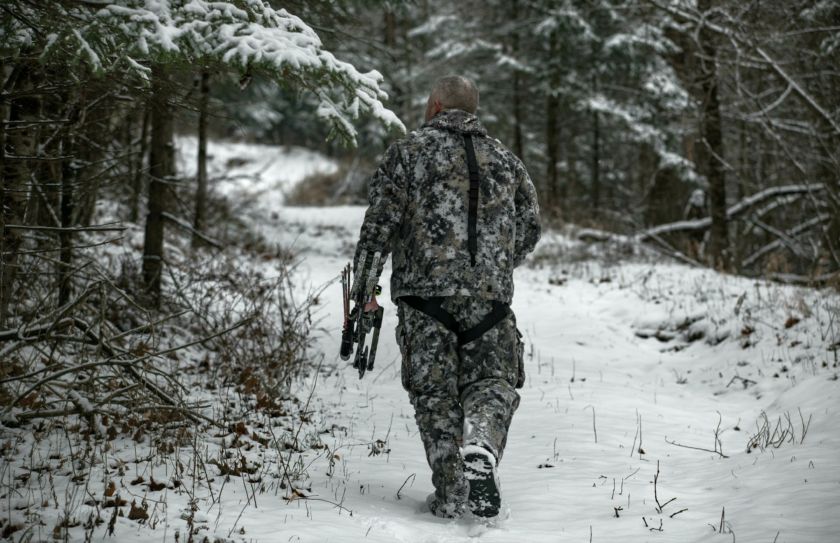 hunt deer in the snow