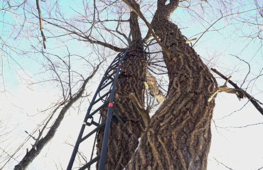 high pressure treestand setups