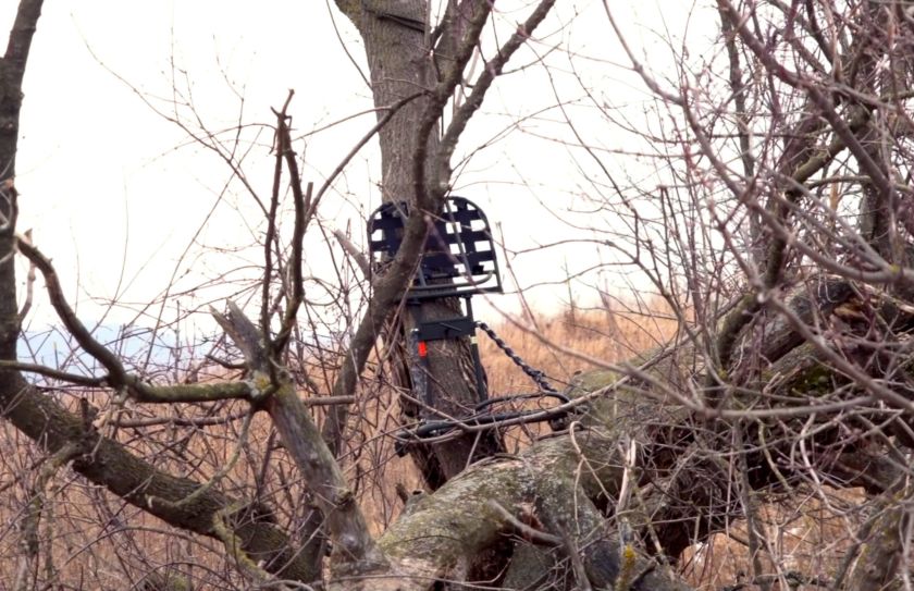 treestand entrance