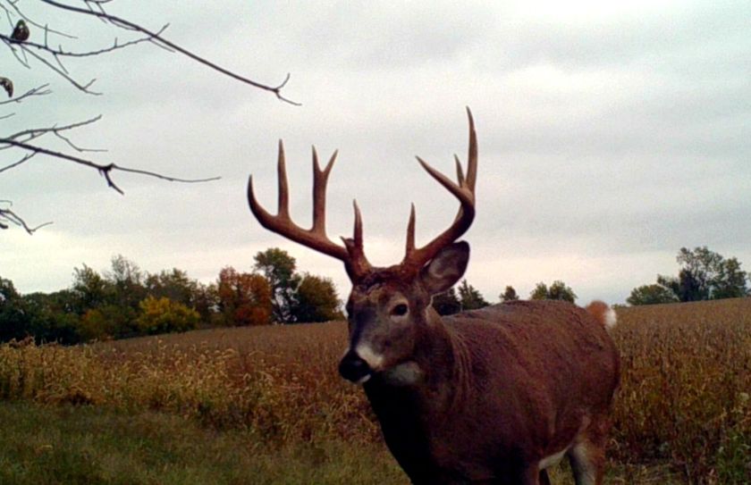 rut started yet