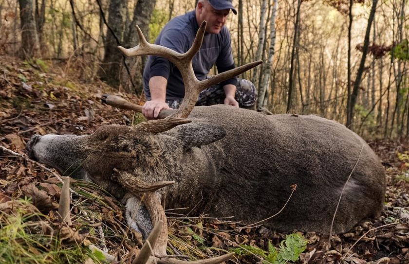 hunt for a target buck