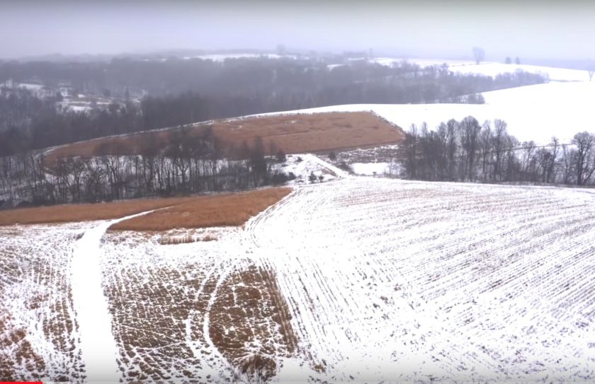 Monoculture Habitat