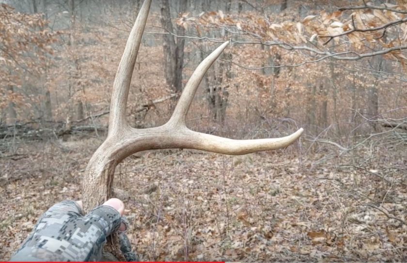 Shed Hunting Fails