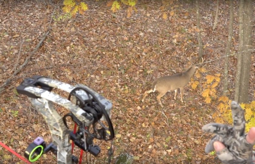 Treestand Bowhunting