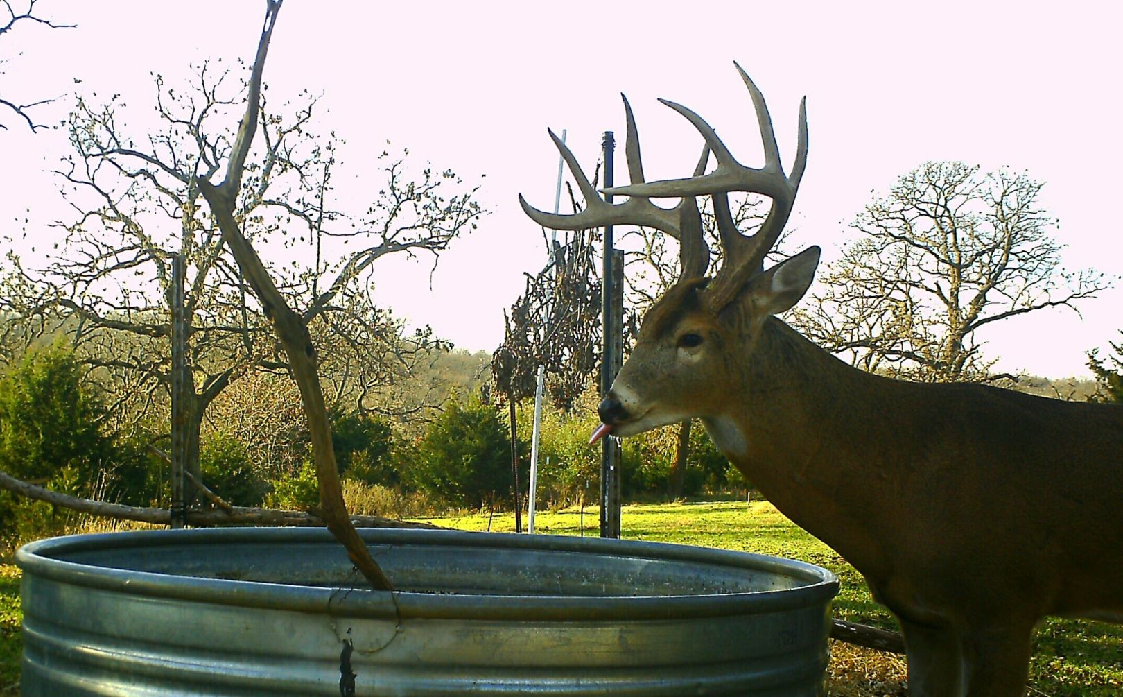 waterhole for deer