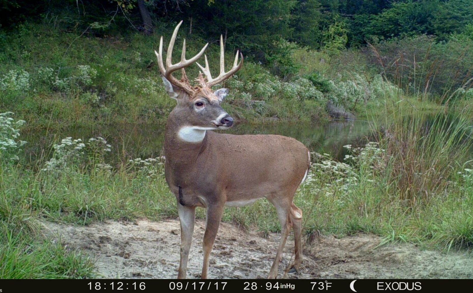 cold front deer hunting