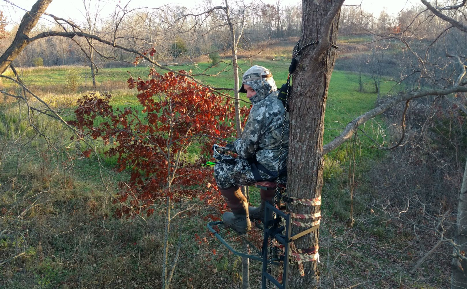 november food plot