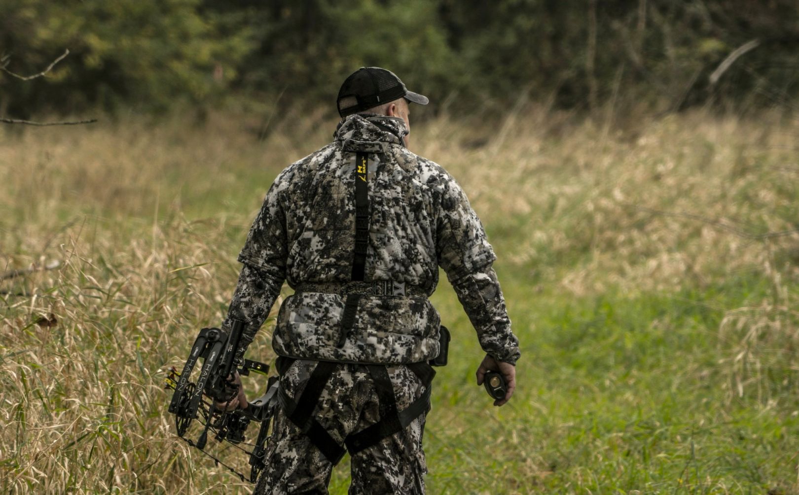 scouting public land for whitetails