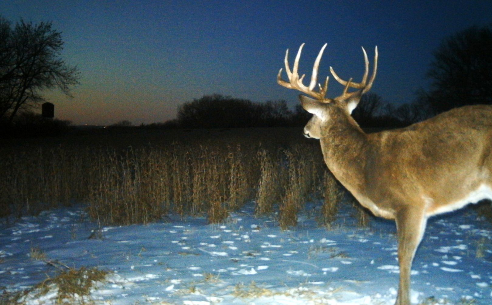 december buck hunting