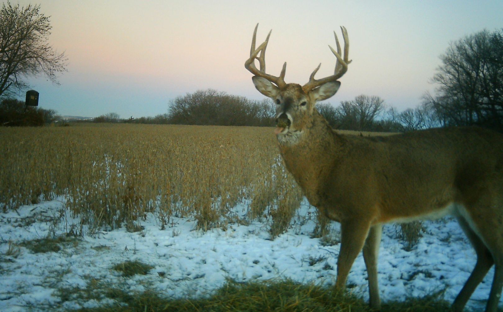 late season whitetail weather