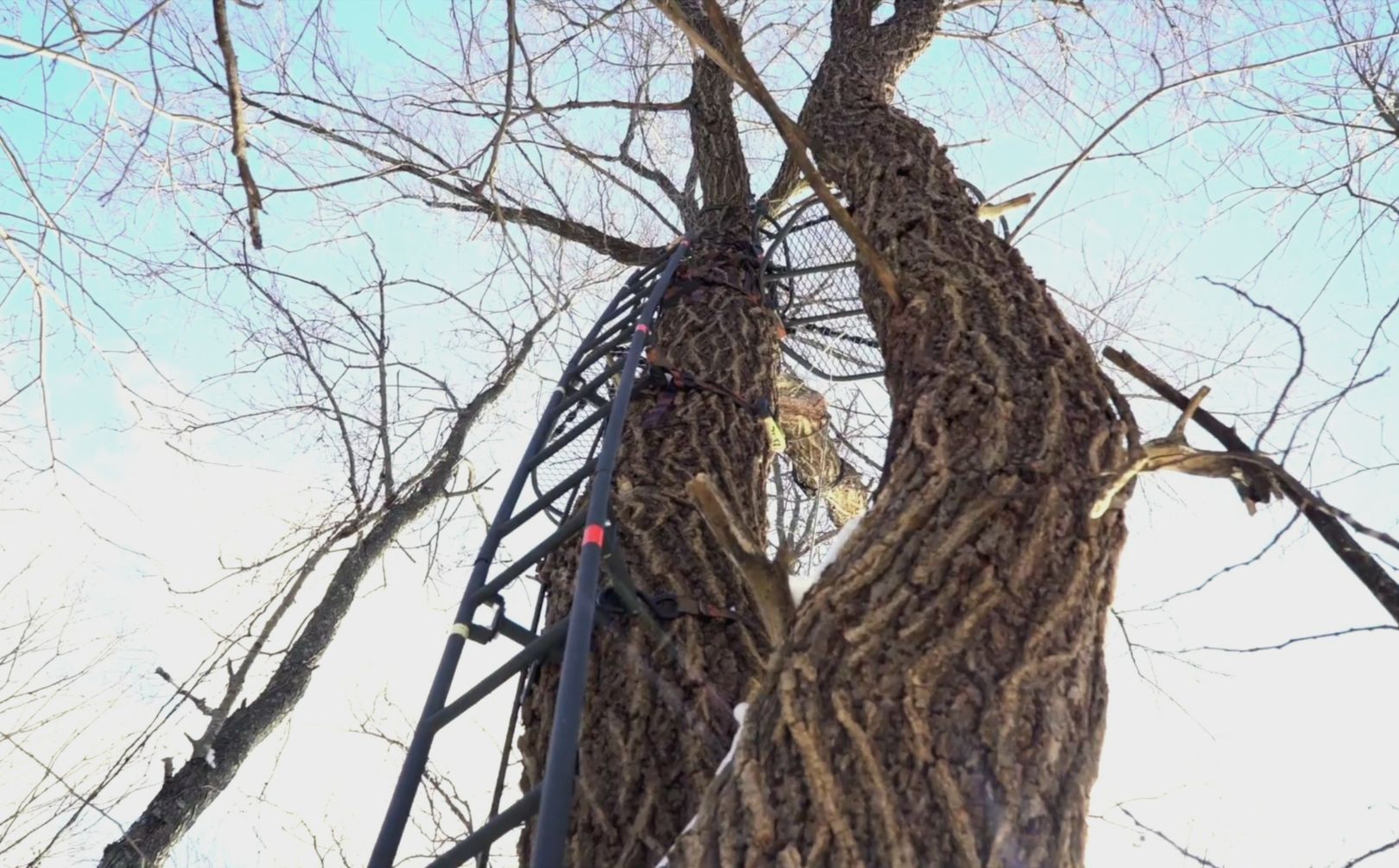 high pressure treestand setups